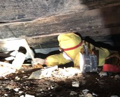 Tight Crawl Spaces with PuroClean Property Damage Experts Cleveland, TN