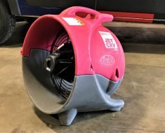 fan