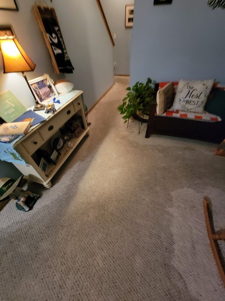 The carpet encountered water damage.