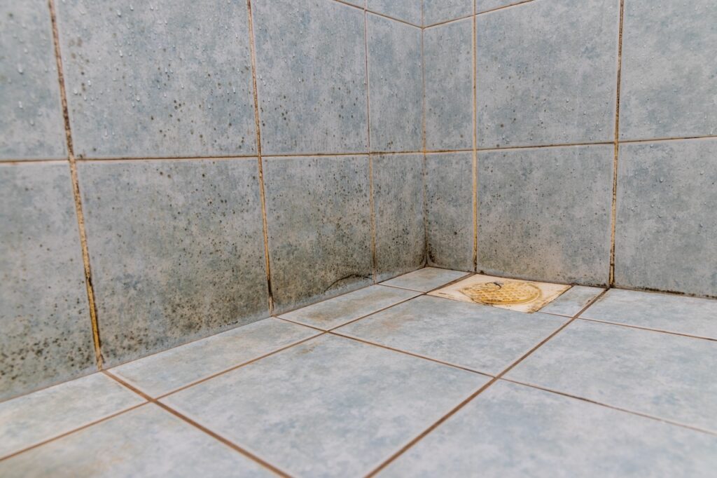 mold in hotel bathroom