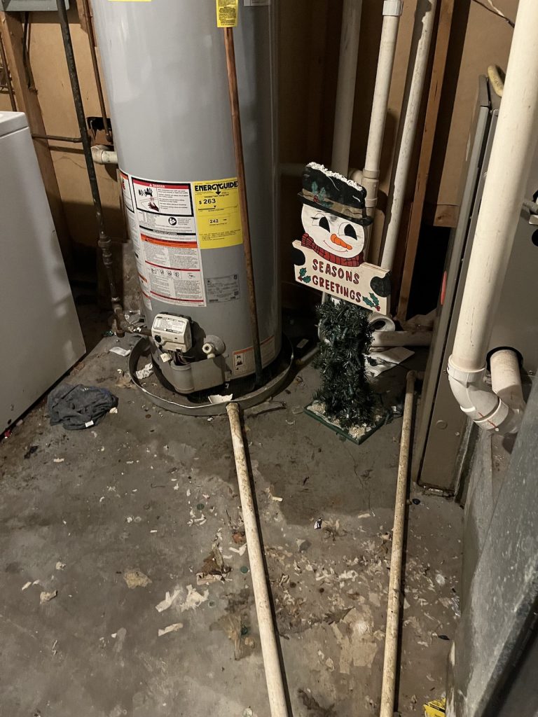 The sewage backup of Westerville, Ohio, home.
