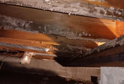 Mold growth in a crawlspace