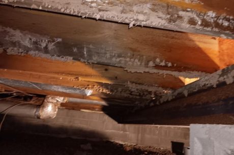 Mold growth in a crawlspace