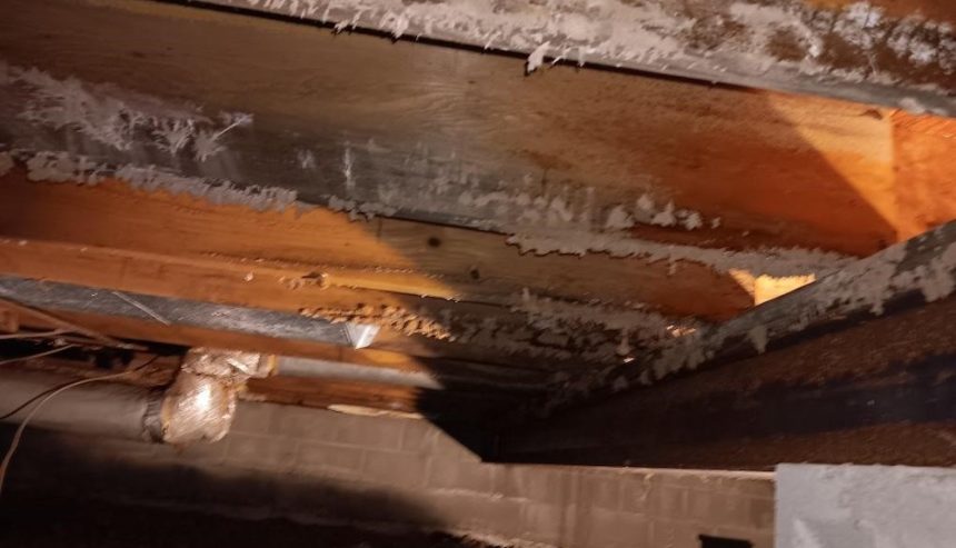 Mold growth in a crawlspace