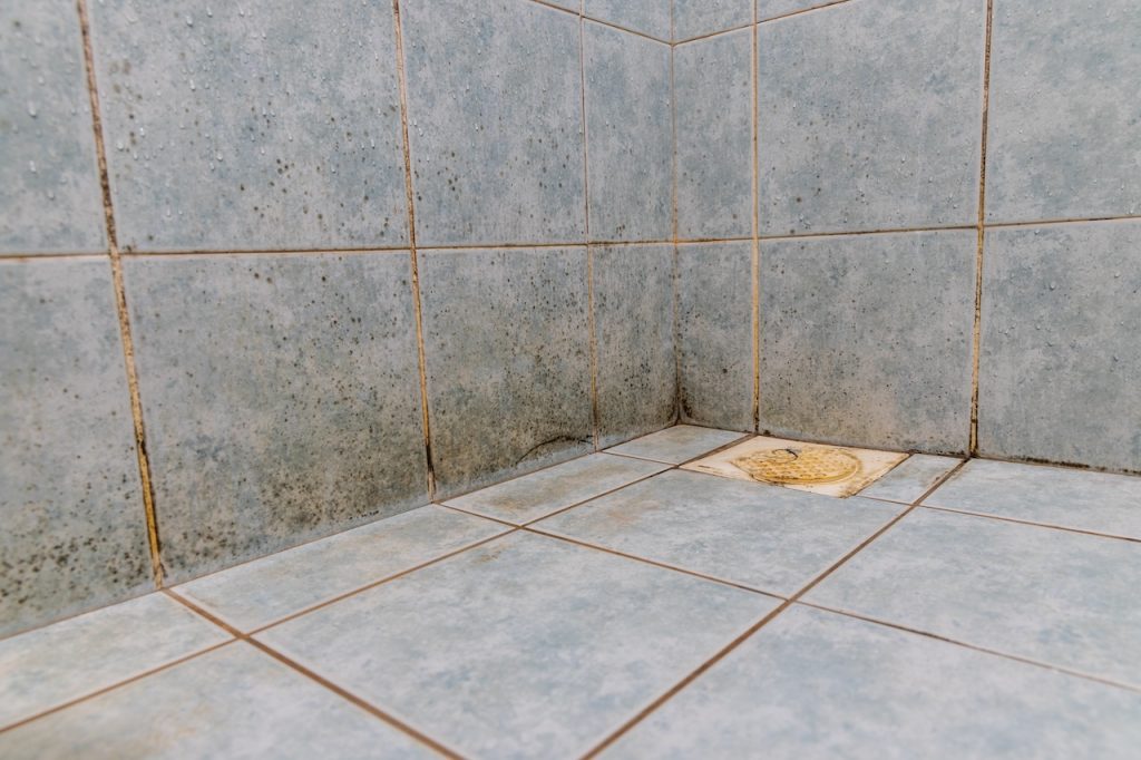 mold in hotel bathroom