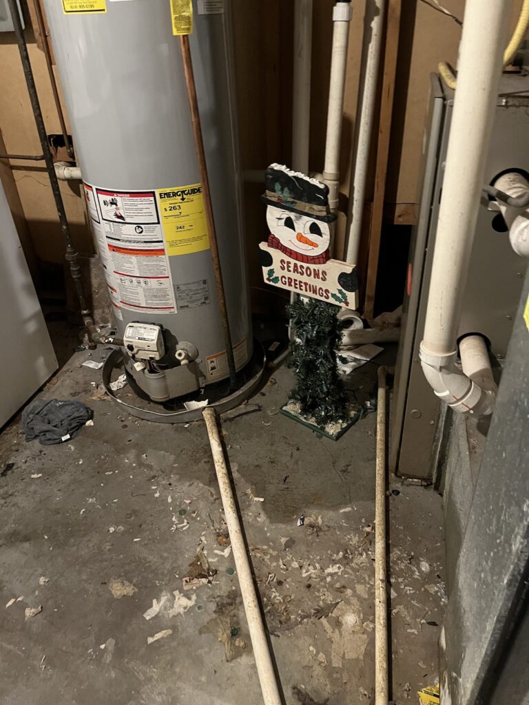 The sewage backup was in the basement.