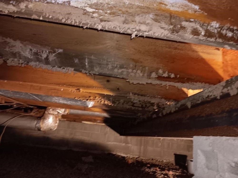Mold growth in a crawlspace
