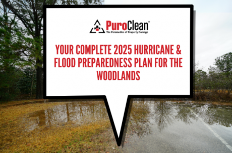 Woodlands Families Hurricane