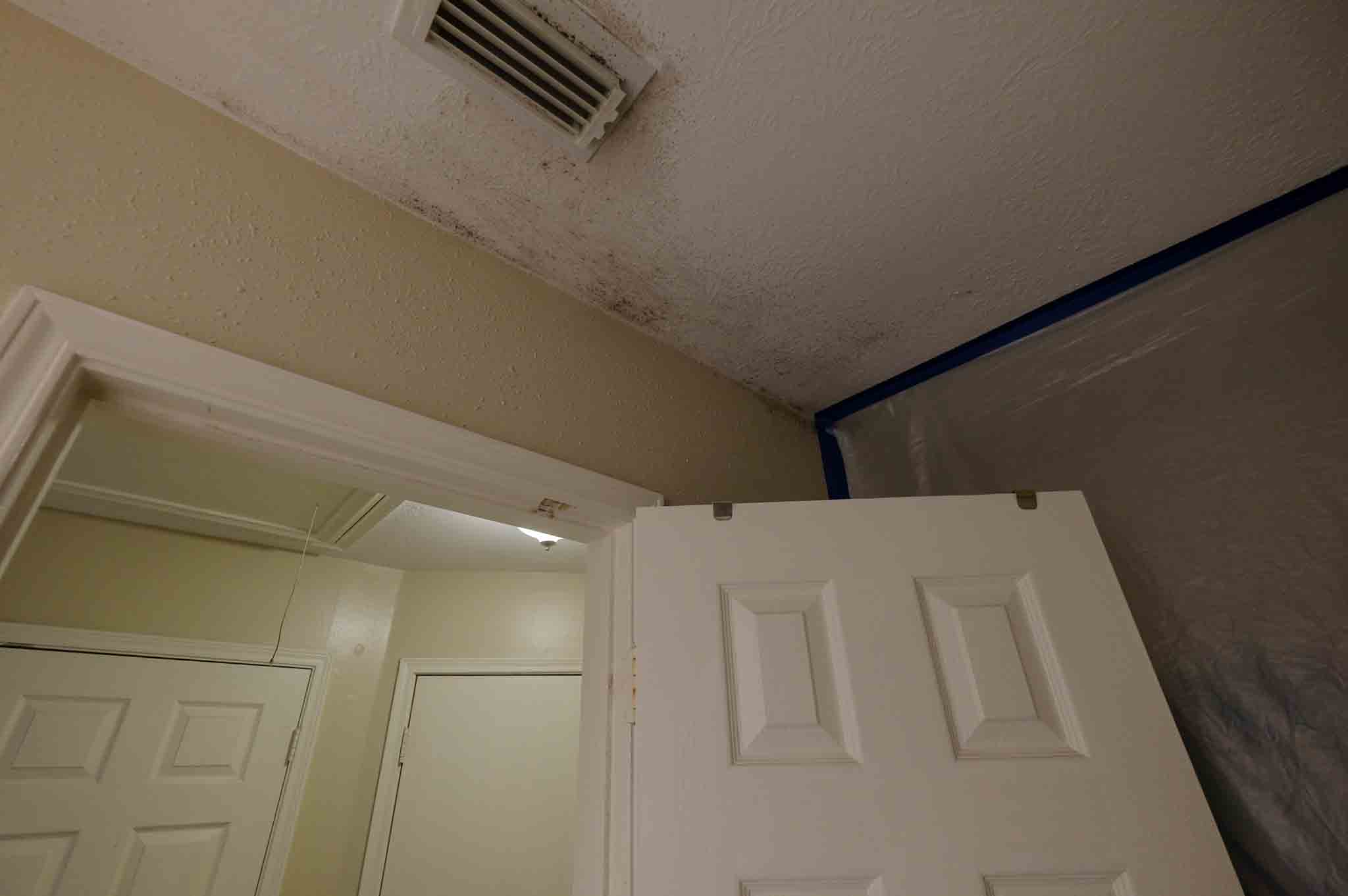 Water Damage and mold in bathroom