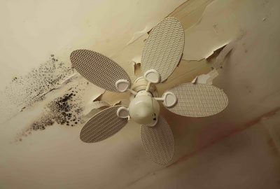 mold cleanup in The Woodlands