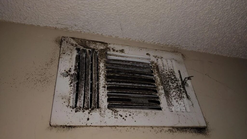 HVAC mold removal cornelius