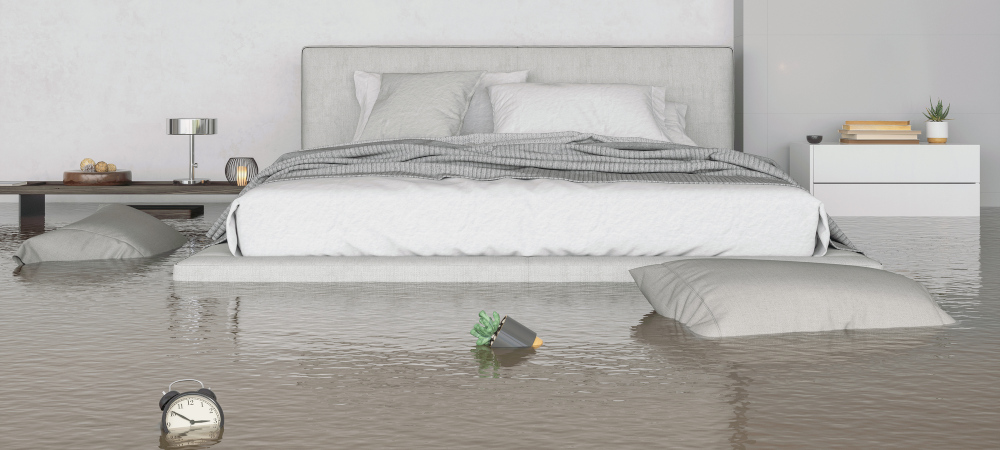 Why Should Water Damage be Resolved Quickly?