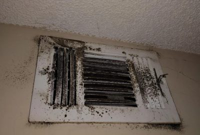 HVAC mold removal cornelius