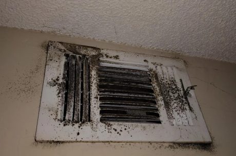 HVAC Mold Problems? 10 Tips for Cornelius Homeowners