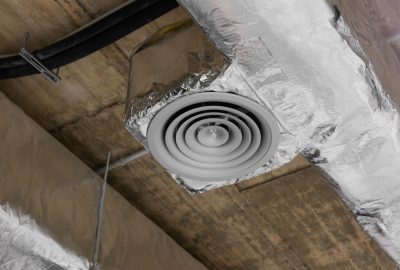 mold in your air ducts