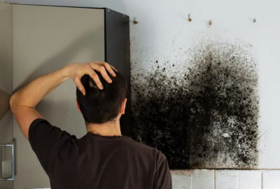 Man Looking at Mold on the wall