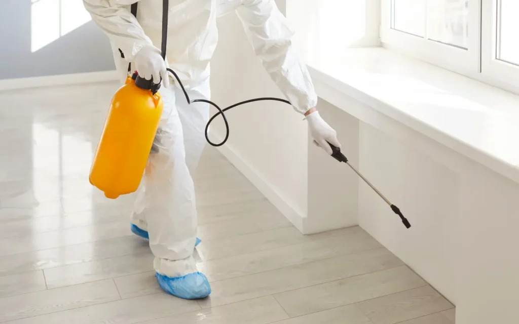 Technician applying antimicrobial treatment to a cleaned wall