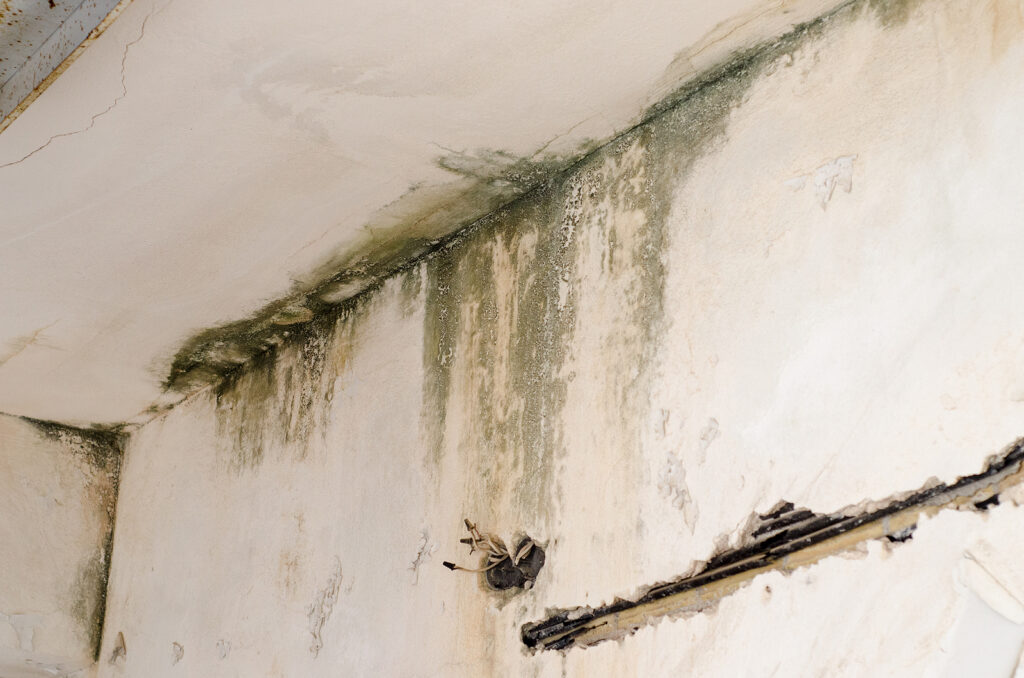 Moisture spread inside wall cavity