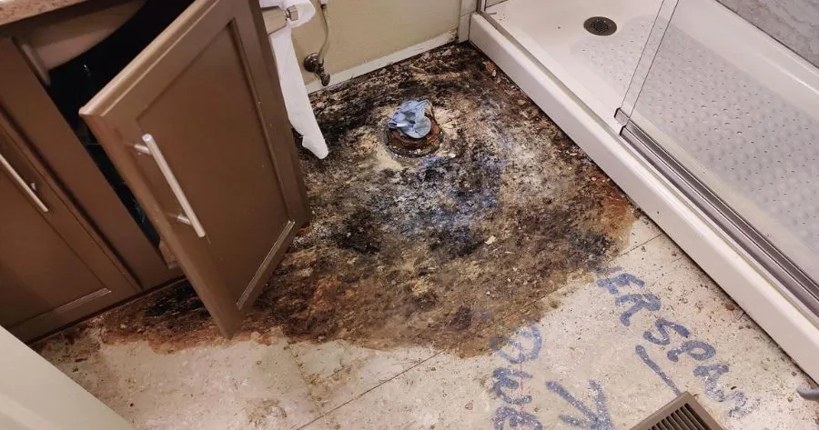 hidden mold growth behind drywall residential home