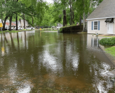 Road Flooding in Mandeville, LA