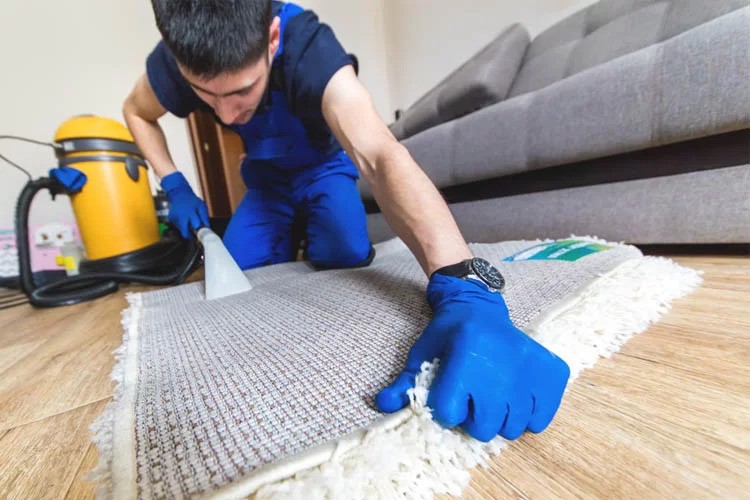 The Hidden Health Benefits of Professional Carpet Cleaning