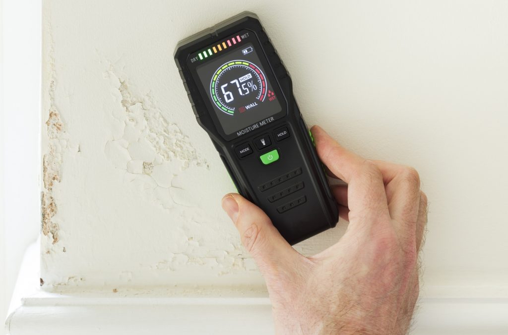 Technician inspecting water-damaged walls with a moisture meter