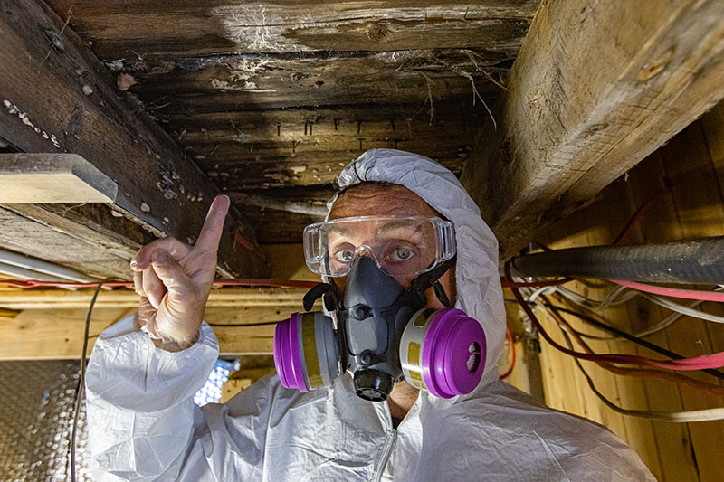 Family wearing protective masks while a technician inspects a mold-affected wall.