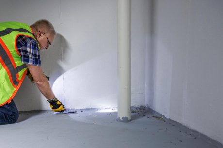 Signs You Might Have Hidden Mold in Your Home and When to Call a Professional