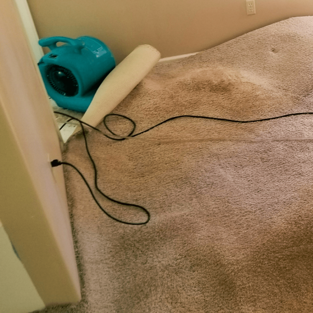 water damage restoration