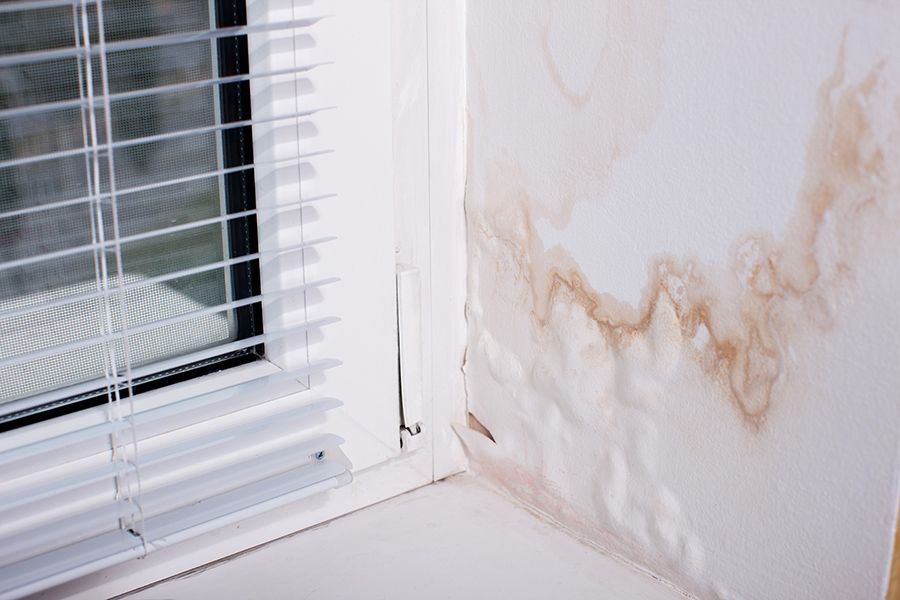 musty odor water damage inside residential home walls