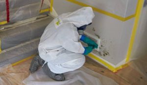 professional mold remediation technicians working inside home Covington Louisiana