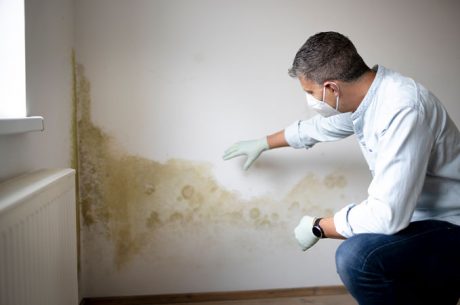 Mold Removal Companies Near Me in Covington, LA. How to Choose the Right Help When Mold Shows Up