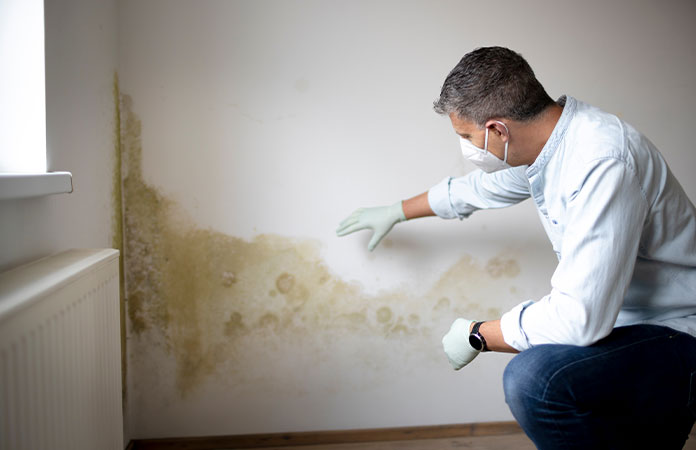 professional mold removal technicians inside residential home Covington Louisiana