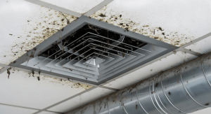 Mold growth discovered inside HVAC air ducts of a Covington LA home requiring professional mold removal and remediation services