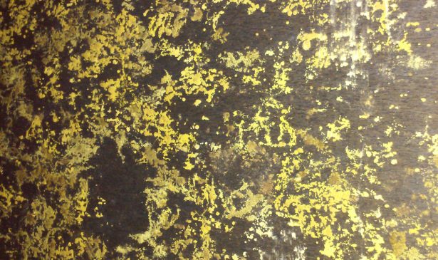 mold wall nj new jersey remediation home restoration