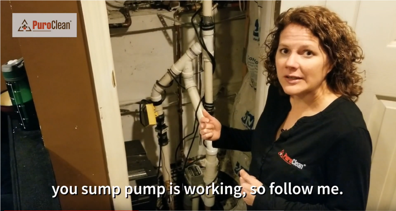 sump pump check