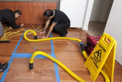 Professionals repairing hardwood water damage