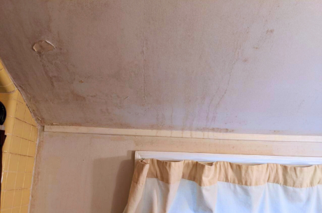bathroom ceiling mold puroclean cranford