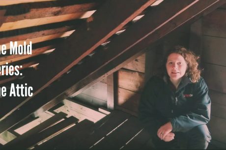 woman in attic talking about attic mold prevention