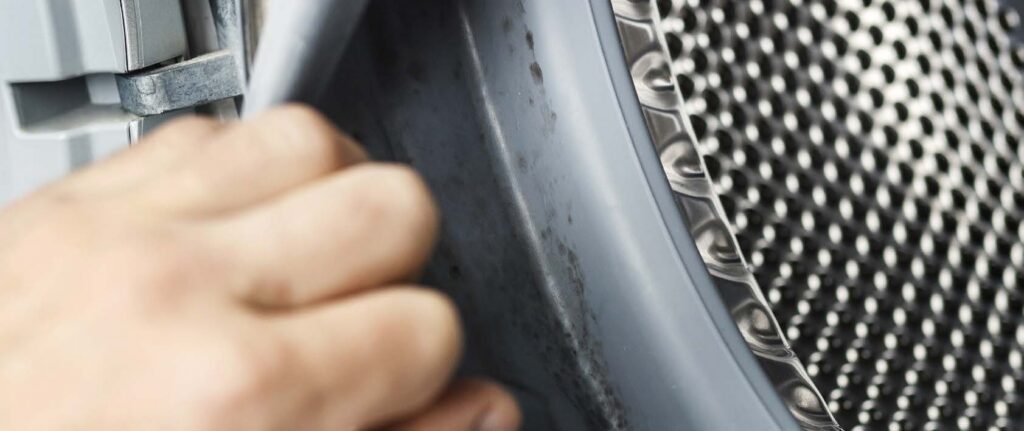 A hand inspecting the rubber seal of a washing machine to prevent mold buildup.