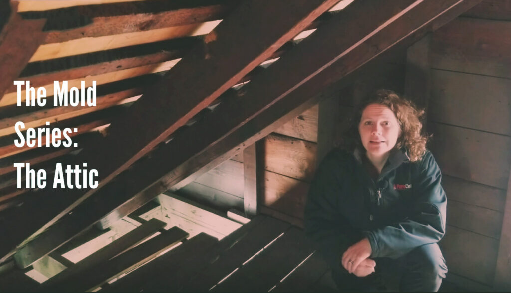 woman in attic talking about attic mold prevention