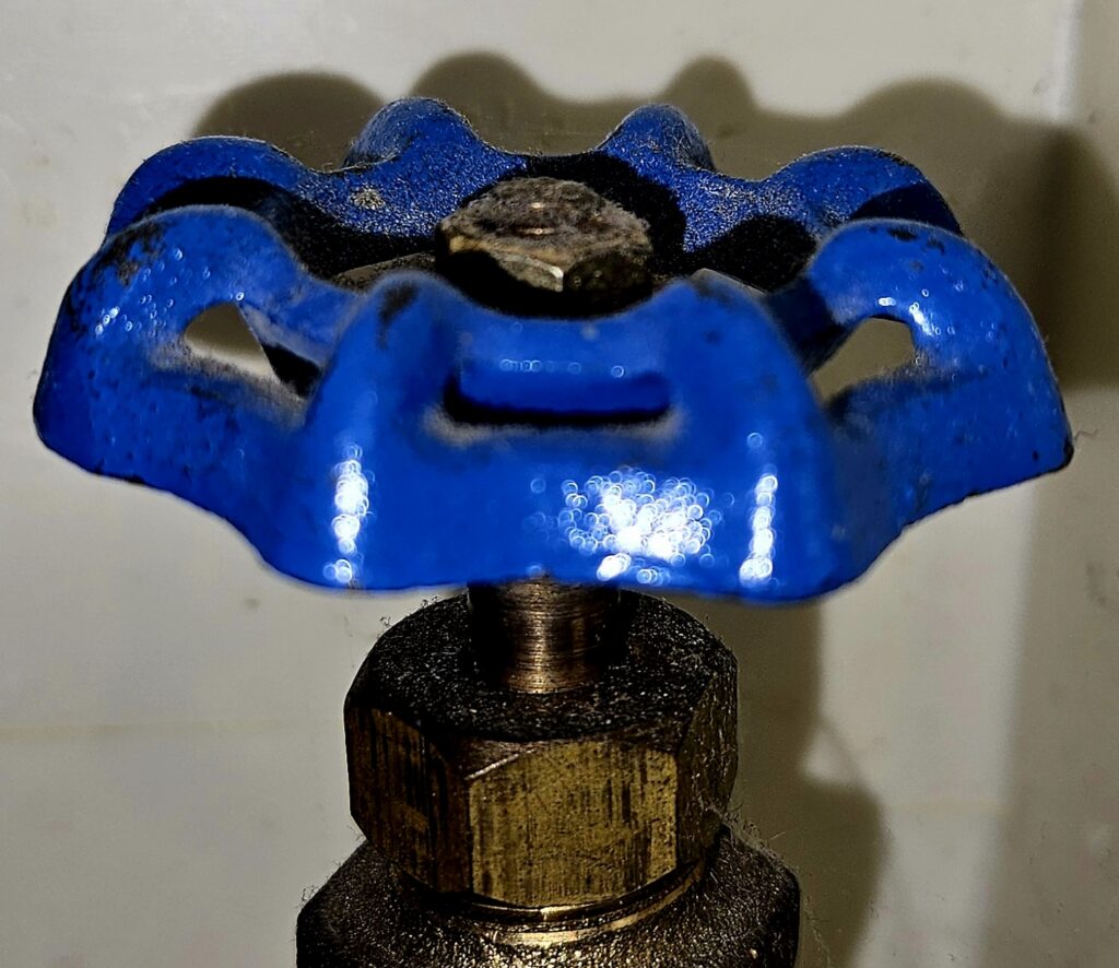 Close-up of a blue valve handle on a plumbing fixture, emphasizing water control for home safety.
