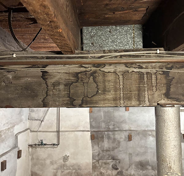 Dark water stains and possible mold mar a wooden support beam in a damp basement.