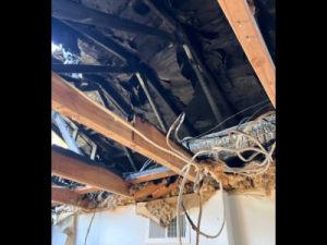 Severe ceiling and attic damage with exposed beams, wiring, and insulation after a house fire, requiring professional smoke damage restoration services.