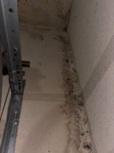 Dark mold growth showing small black spots spreading along a garage wall ceiling joint and metal track.