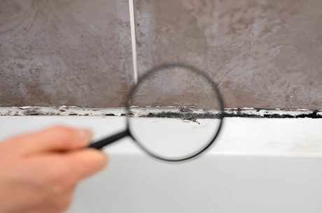 Do You Have Mold in Your Rock Island Home