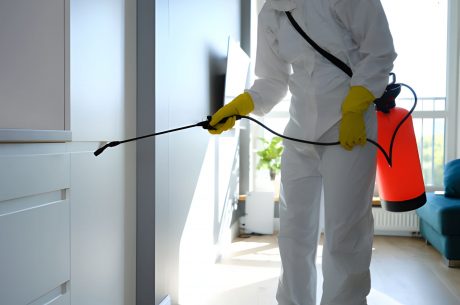 professional mold remediation in Davenport