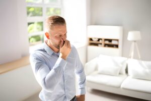 Odor Removal in Davenport