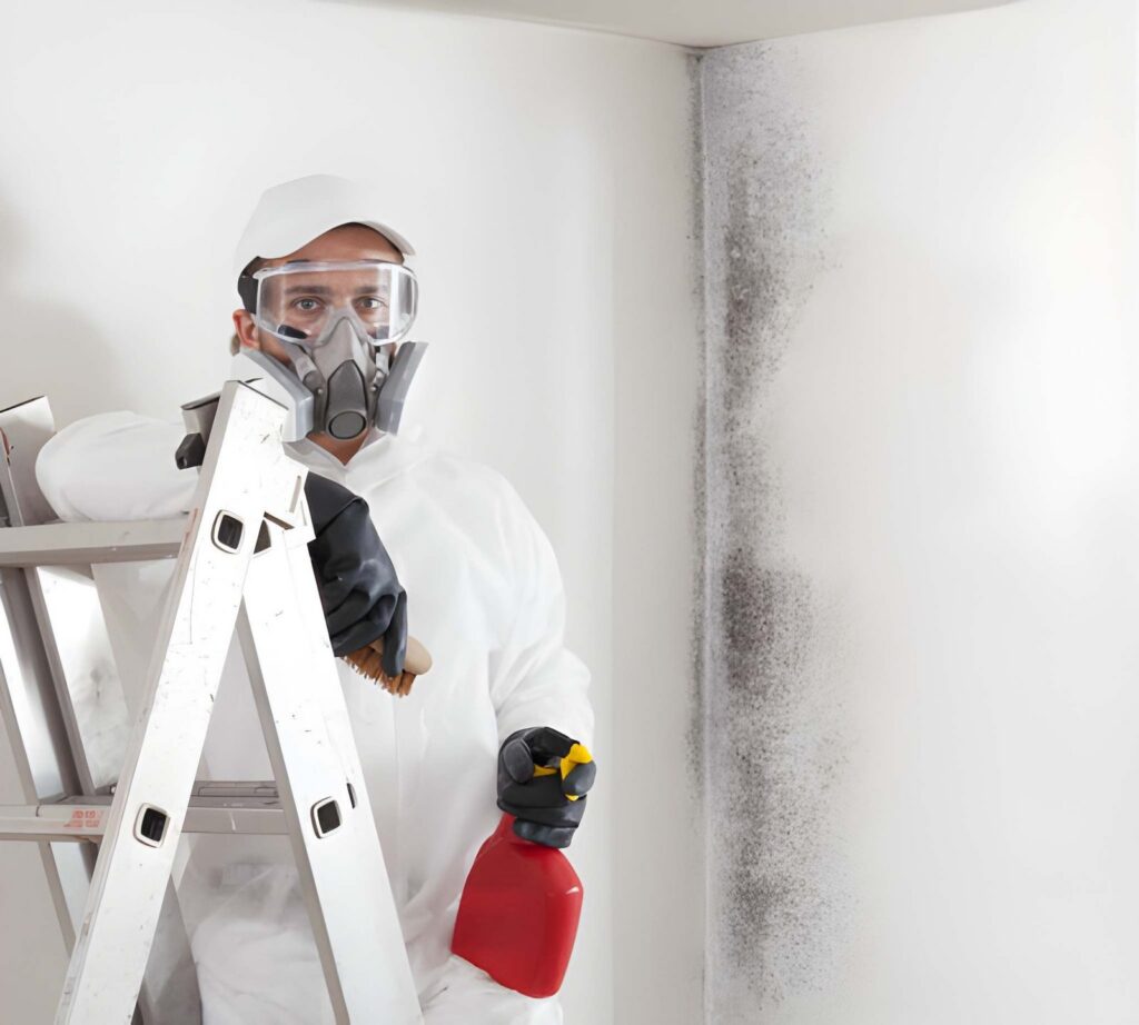 A person in a hazmat suit and respirator prepares to clean black mold from a white wall