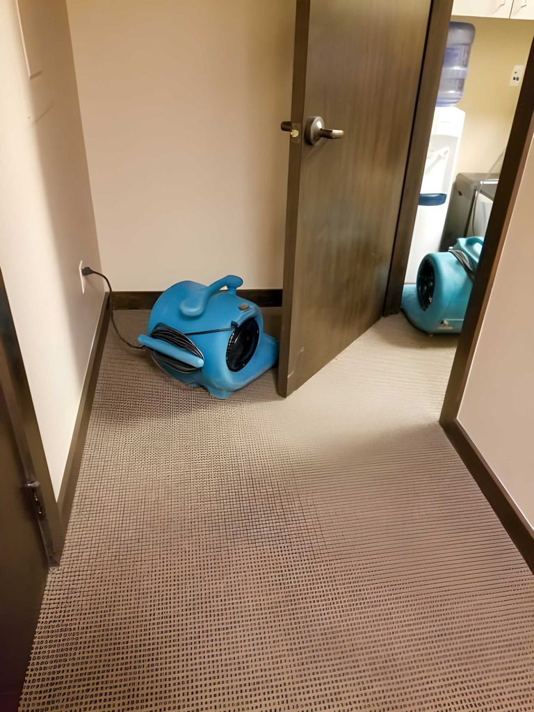 best water cleanup in Muscatine